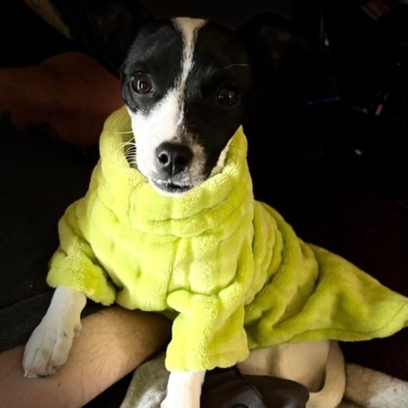 Meet your Posher, Bernadette - Picture 1 of 1